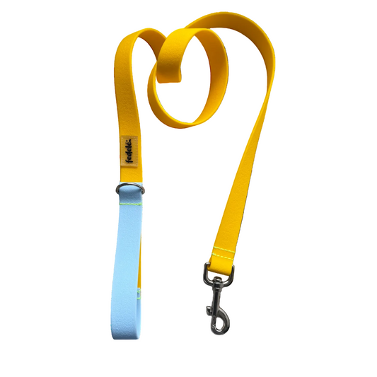 CORREA PAW PROOF AMARILLO AZUL CIELO