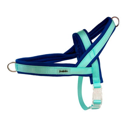 ARNES EN Y AZUL AGUA