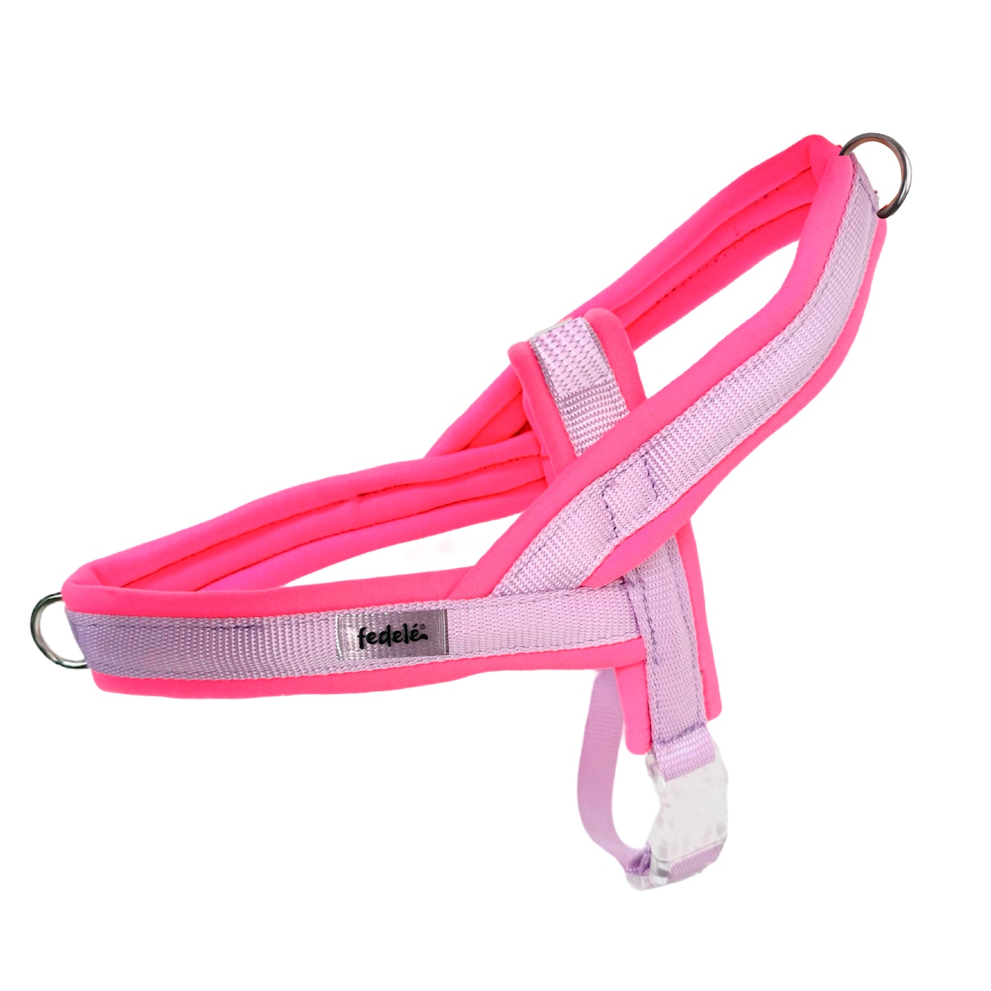 ARNES EN Y FUCSIA LILA