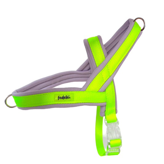 ARNES EN Y LILA NEON