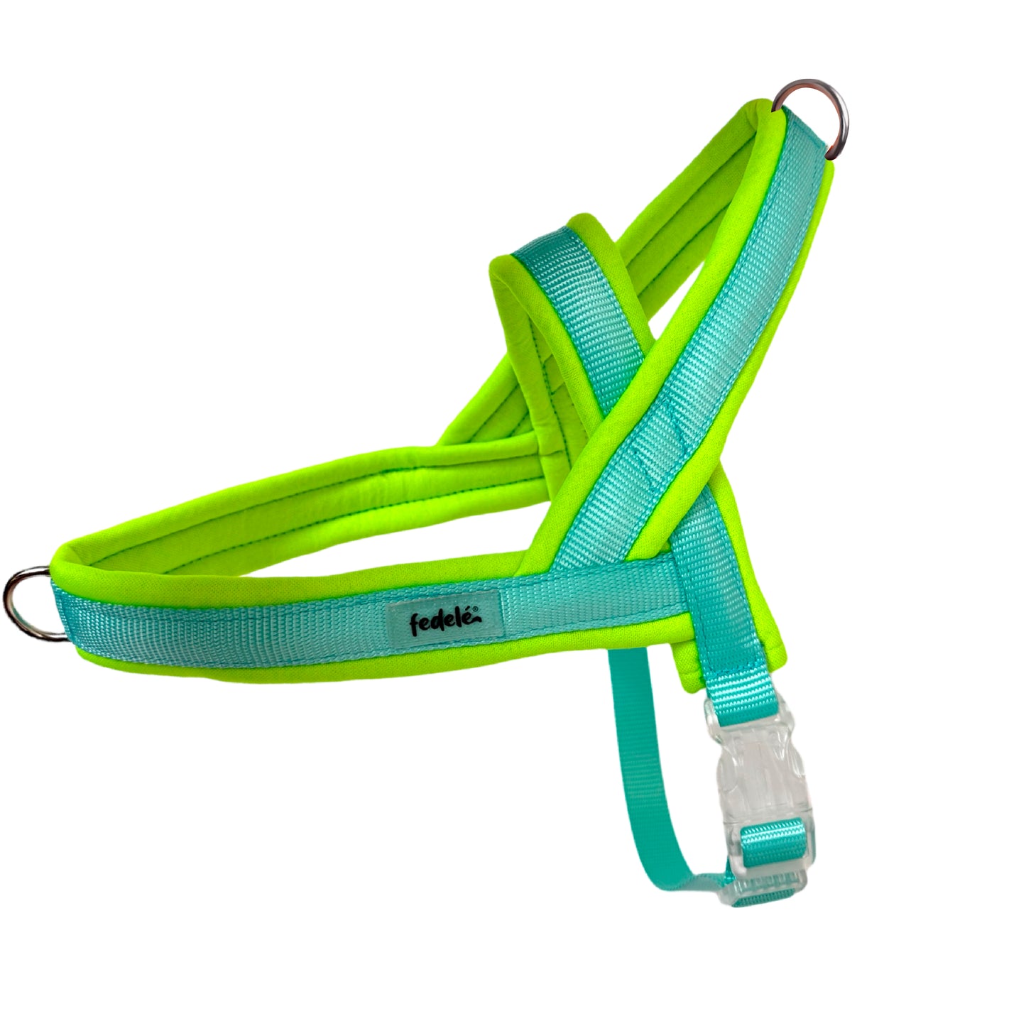 ARNES EN Y NEON AGUA