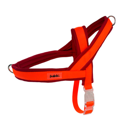 ARNES EN Y ROJO NARANJA
