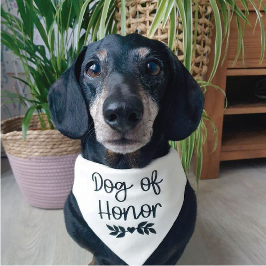 Pañoleta Dog Of Honor