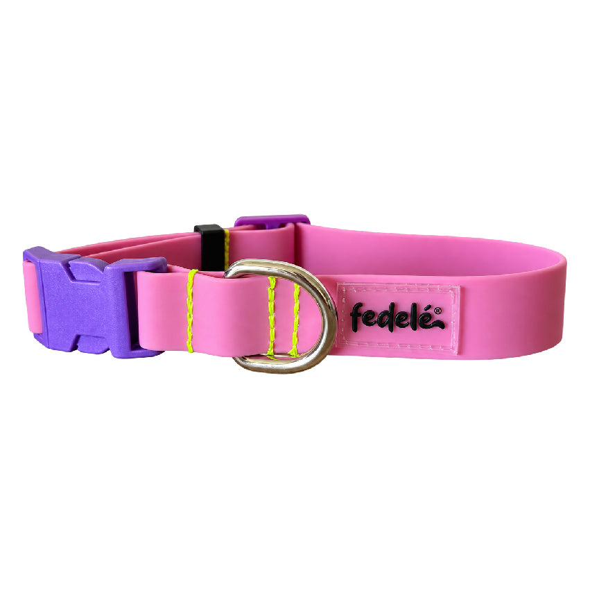 COLLAR PAW PROOF PALO DE ROSA