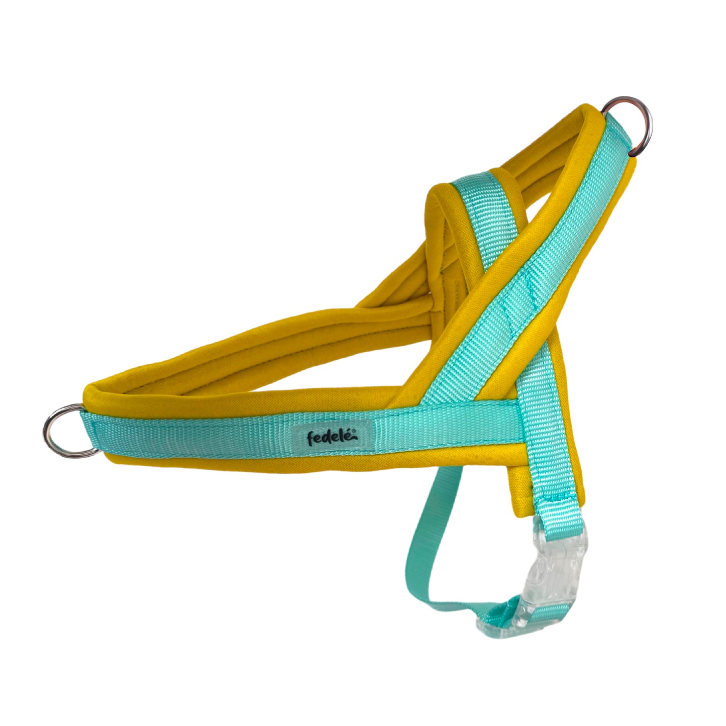 ARNES EN Y AMARILLO AGUA