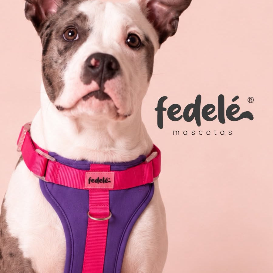 PECHERA MORADO FUCSIA