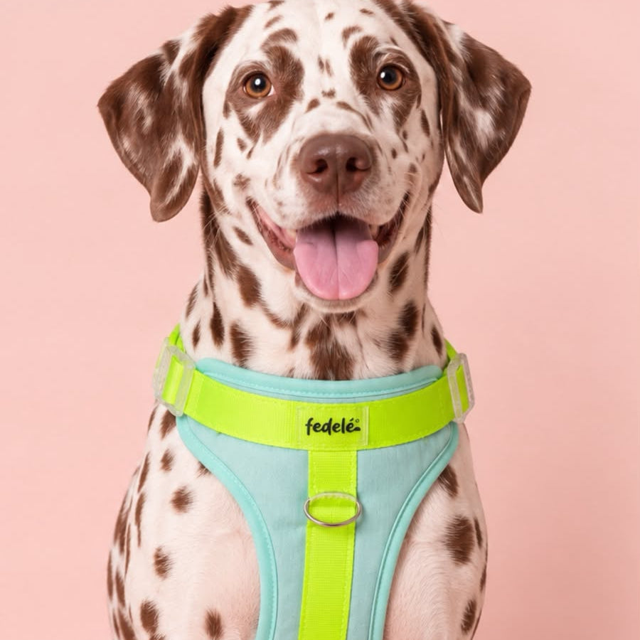 PECHERA AGUA NEON