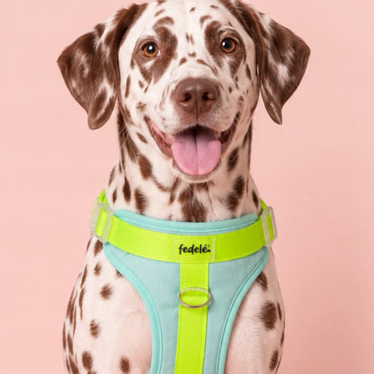 PECHERA AGUA NEON