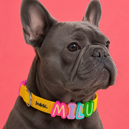 Collar en Goma Personalizado con Charms Deluxe