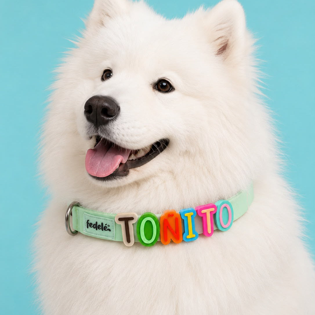 Collar en Goma Personalizado con Charms Deluxe
