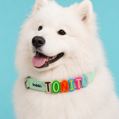 Collar en Goma Personalizado con Charms Deluxe