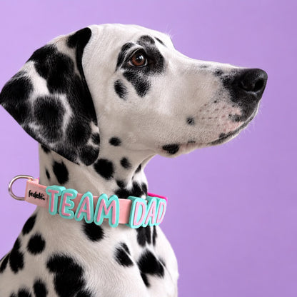Collar en Goma Personalizado con Charms Deluxe