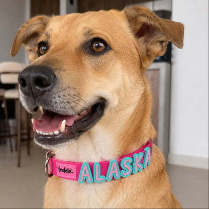 Collar en Goma Personalizado con Charms Deluxe