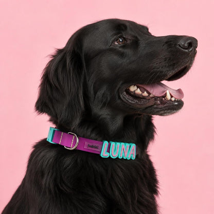 Collar en Goma Personalizado con Charms Deluxe Perro