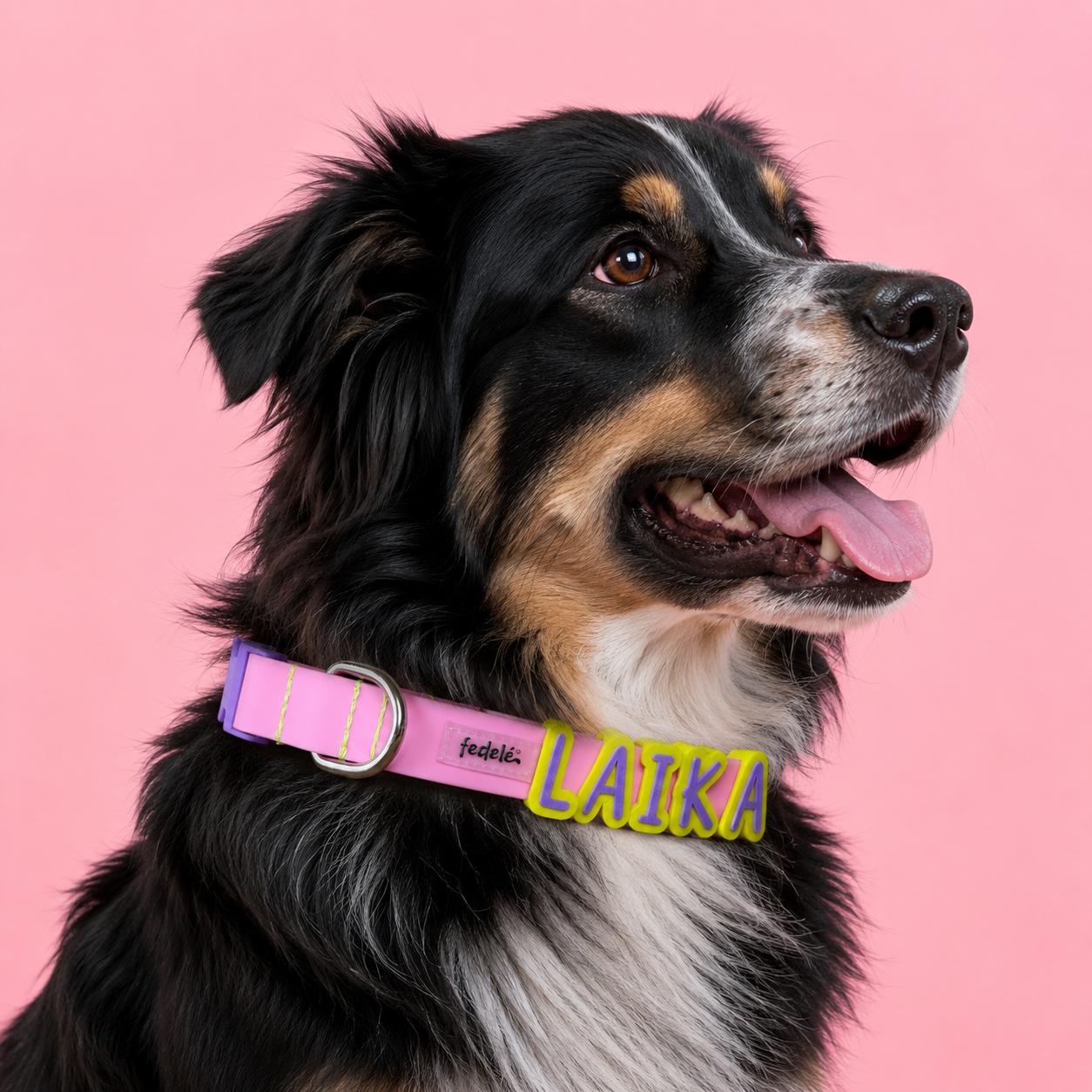 Collar en Goma Personalizado con Charms Deluxe Perro