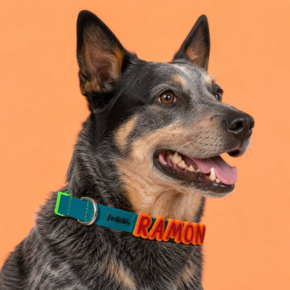 Collar en Goma Personalizado con Charms Deluxe Perro