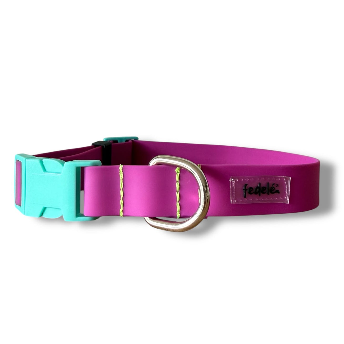 COLLAR PAW PROOF MORADO