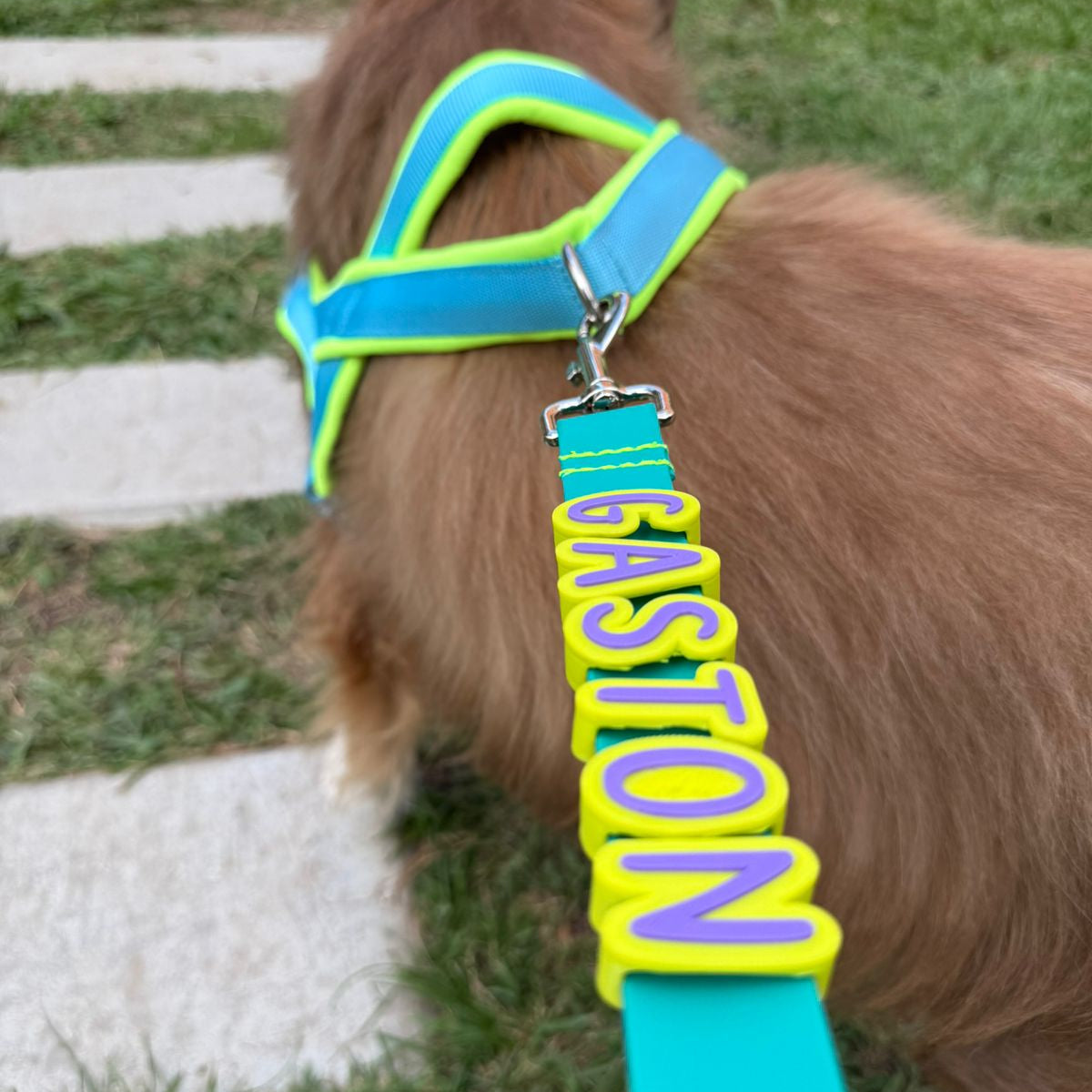 CORREA DE PASEO EN GOMA CON CHARMS PERSONALIZABLE