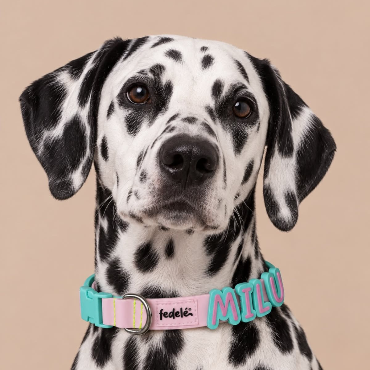 Collar en promoción