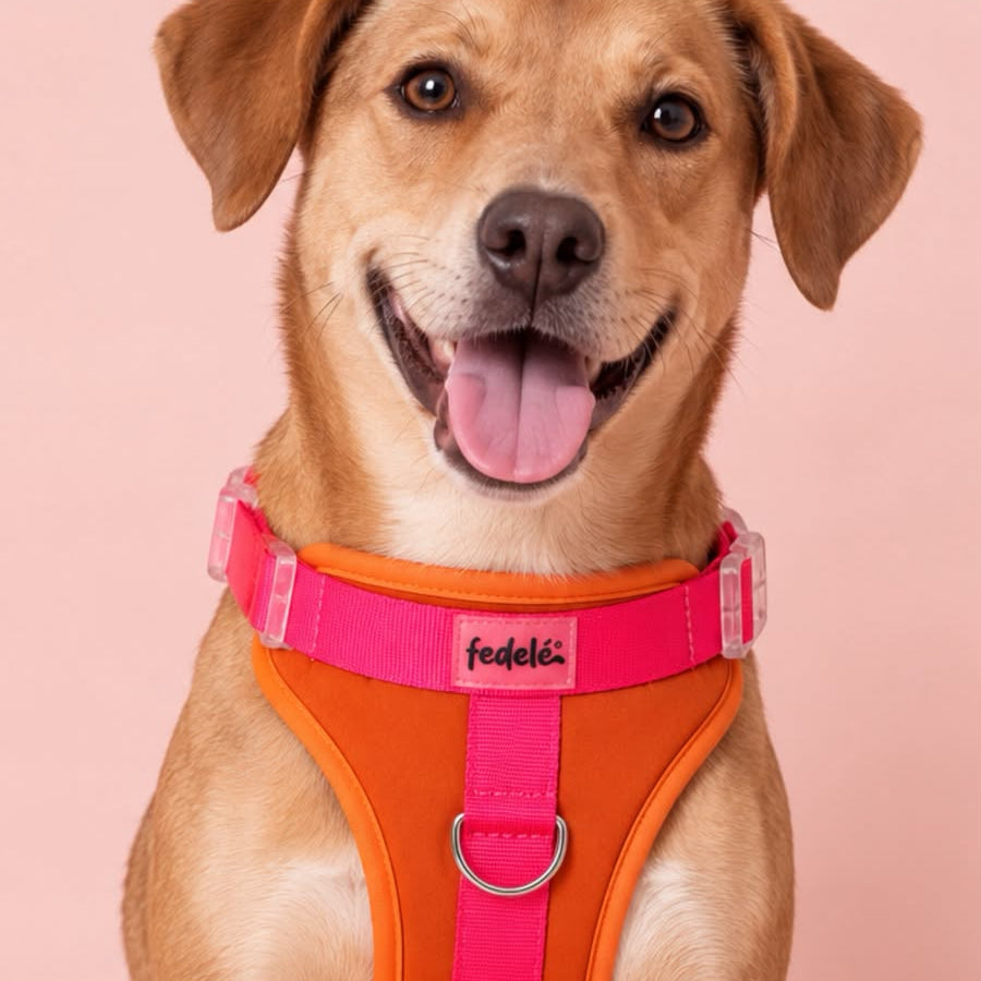 PECHERA NARANJA FUCSIA