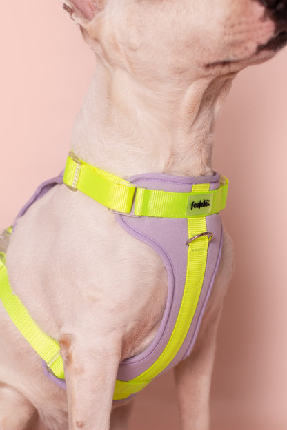 PECHERA LILA - NEON