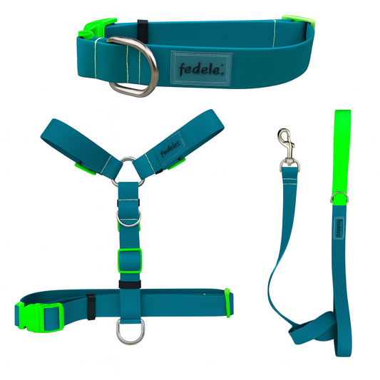 COMBO PAW PROOF AGUA MARINA