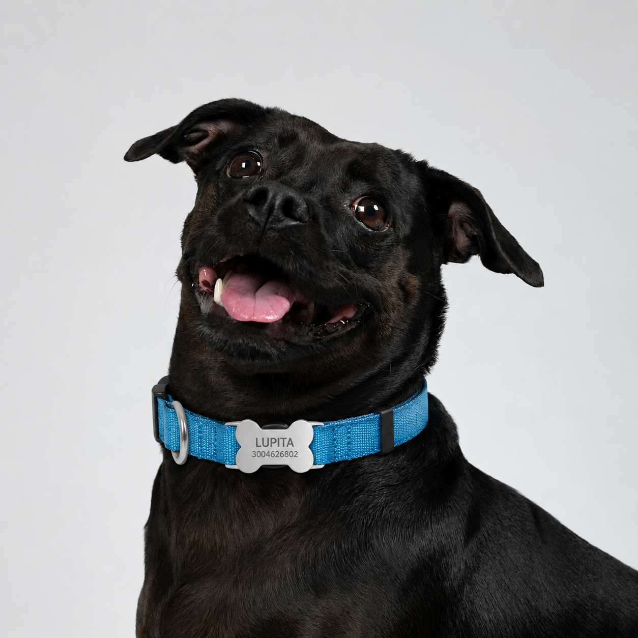 PLACA ACERO HUESO PARA COLLAR