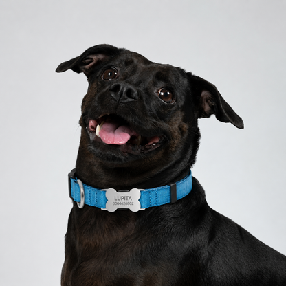 PLACA ACERO HUESO PARA COLLAR