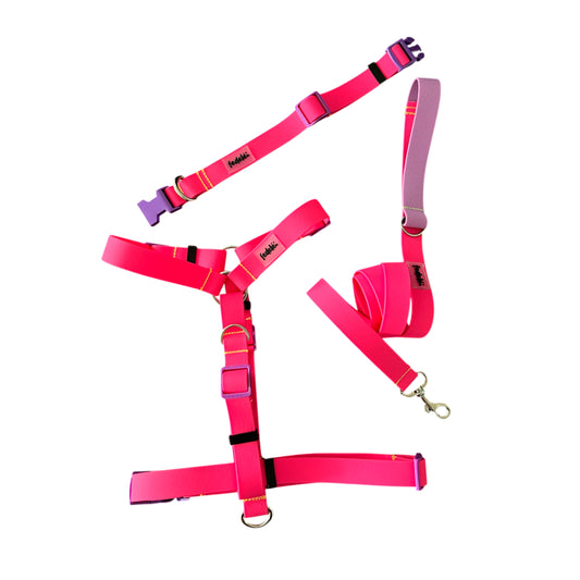 COMBO PAW PROOF FUCSIA