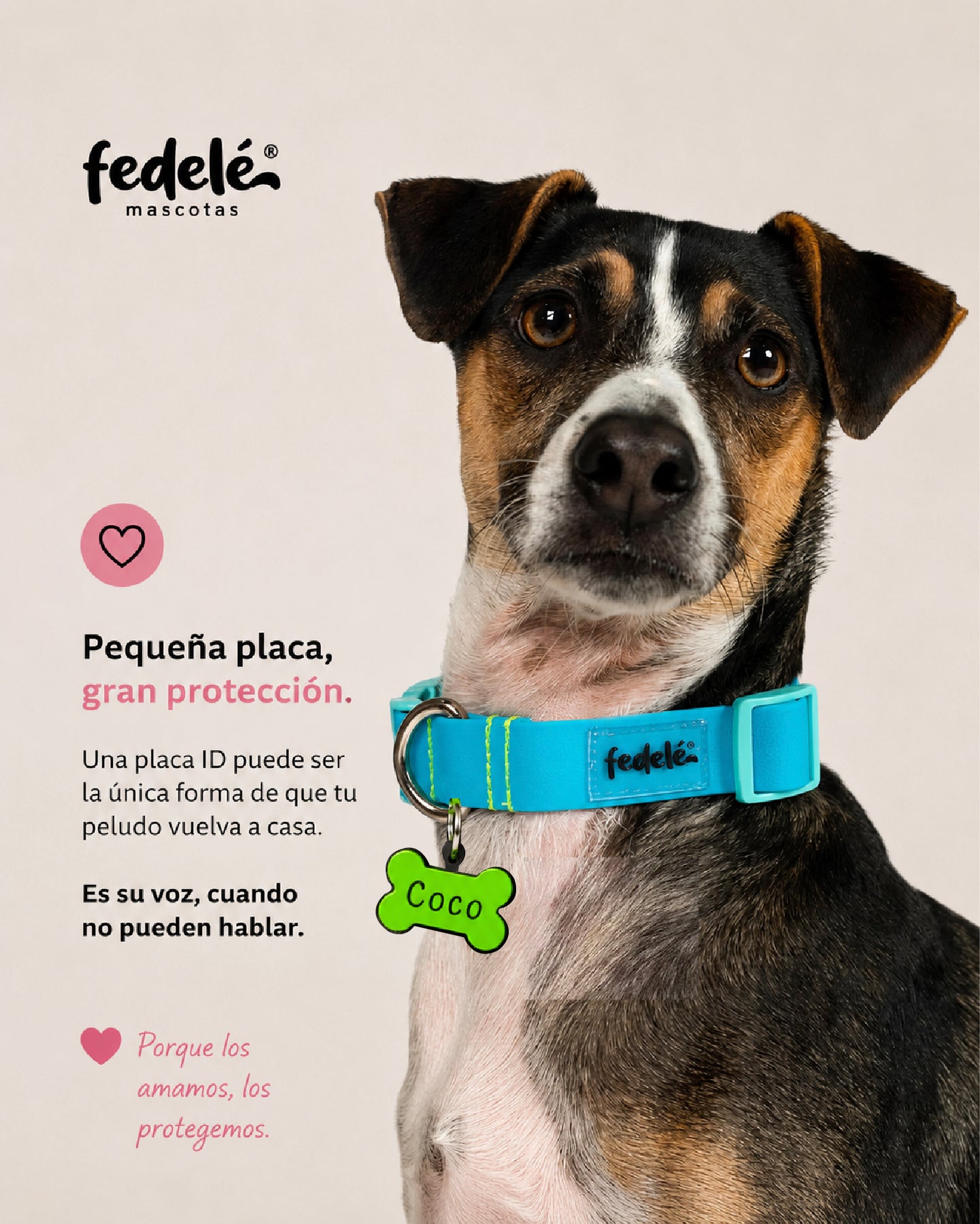 2 x 1 PLACAS ID SILICONA PARA MASCOTAS (Paga 1 Lleva 2)