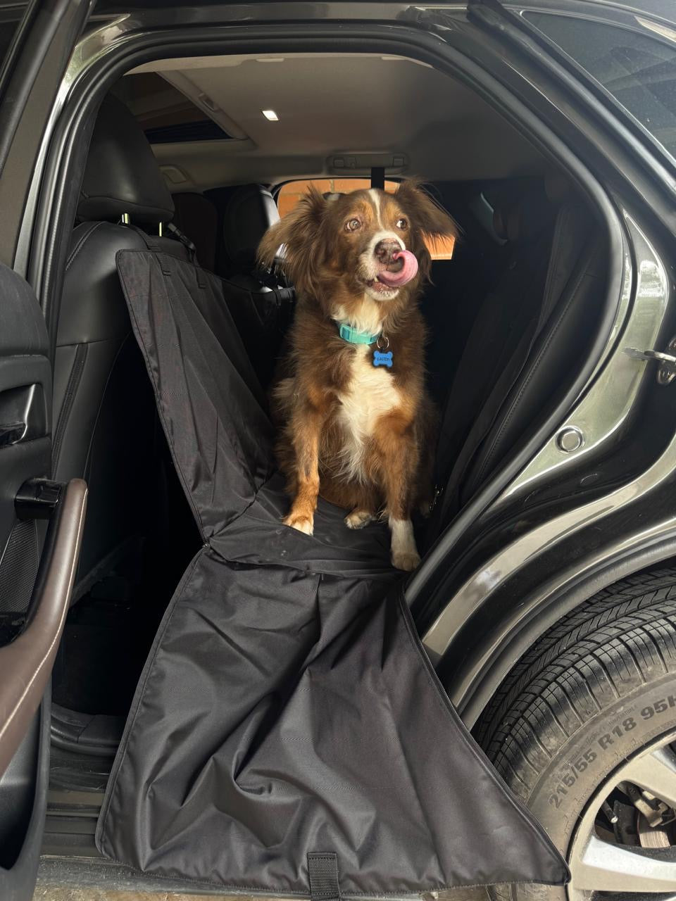 PROTECTOR DE SILLA GRANDE - Cuida tu tapicería y viaja tranquilo con tu peludo