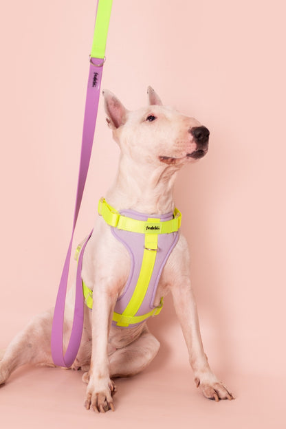 PECHERA LILA - NEON