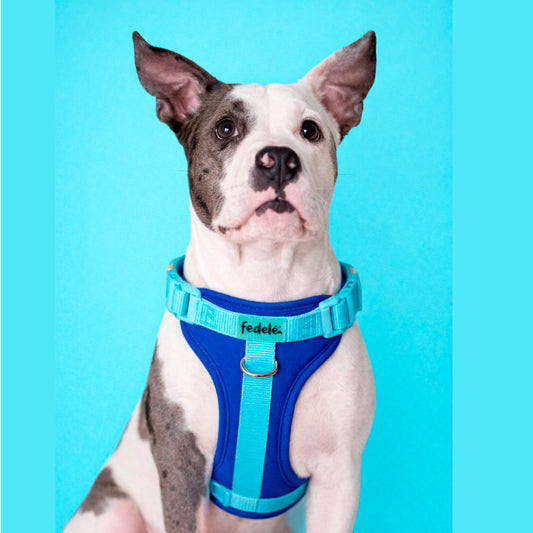 PECHERA AZUL OSC - AGUA MARINA