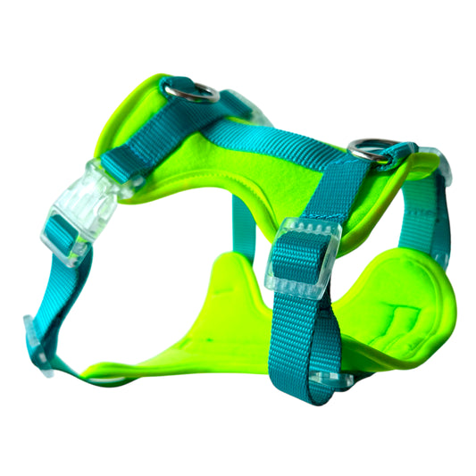 PECHERA NEON - AGUA