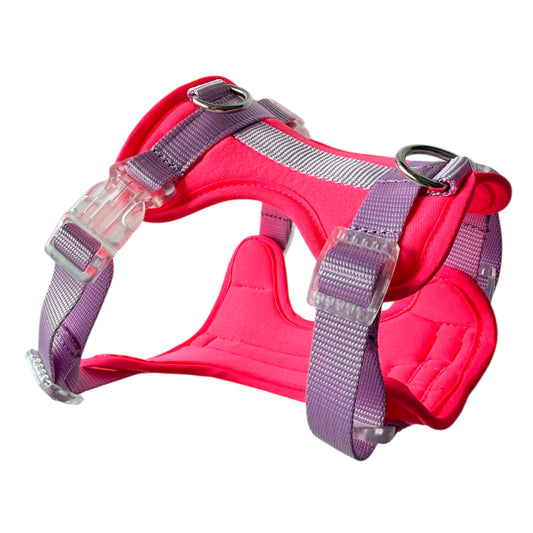 PECHERA FUCSIA - LILA