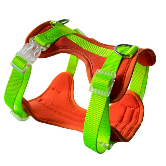 PECHERA NARANJA - NEON