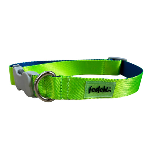 COLLAR REATA BASIC CLASSIC NEON - AZUL