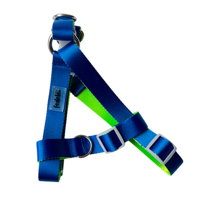 ARNES REATA BASIC AZUL - NEON