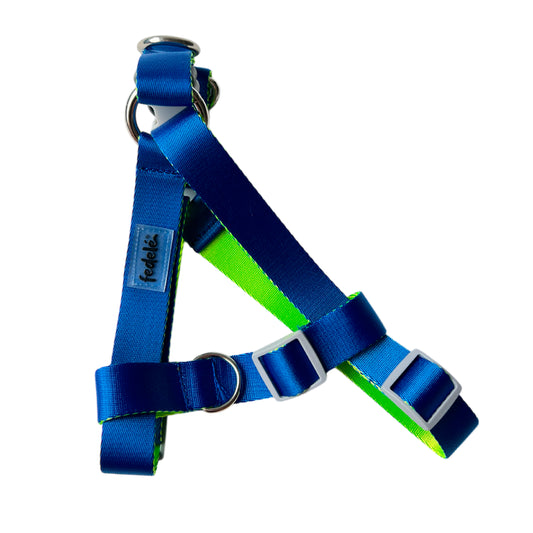 ARNES REATA BASIC AZUL - NEON