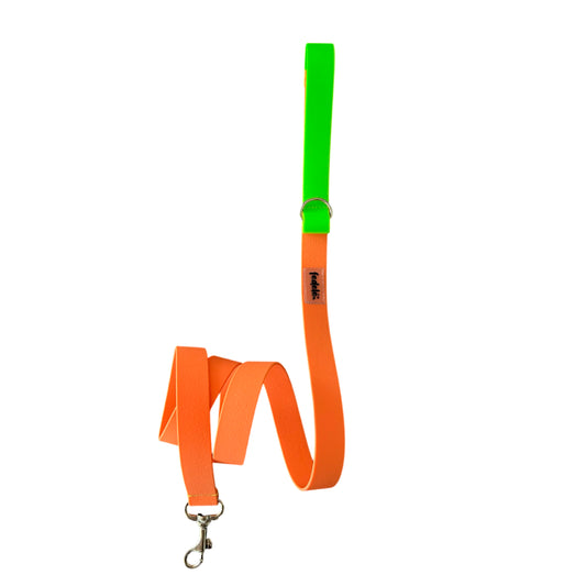 CORREA PAW PROOF NARANJA