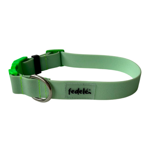 COLLAR PAW PROOF VERDE CLARO