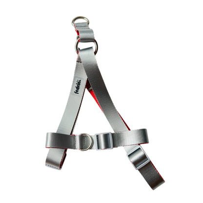 ARNES REATA BASIC GRIS - ROJO