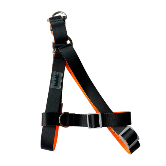 ARNES REATA BASIC NEGRO - NARANJA