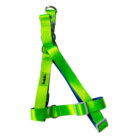 ARNES REATA BASIC NEON - AZUL