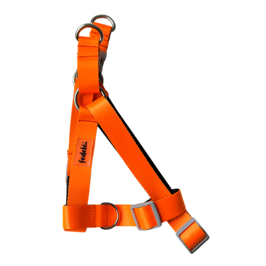 ARNES REATA BASIC NARANJA - NEGRO