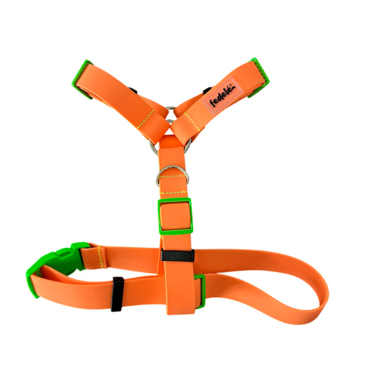 ARNES PAW PROOF NARANJA