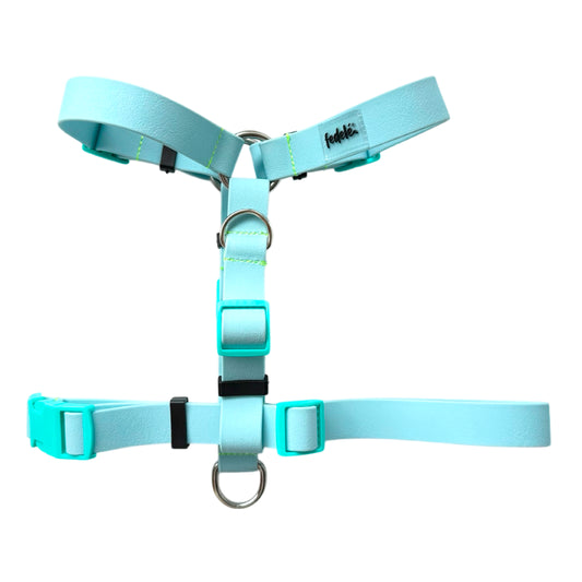 ARNES PAW PROOF AZUL CIELO