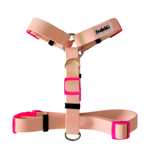 ARNES PAW PROOF ROSA
