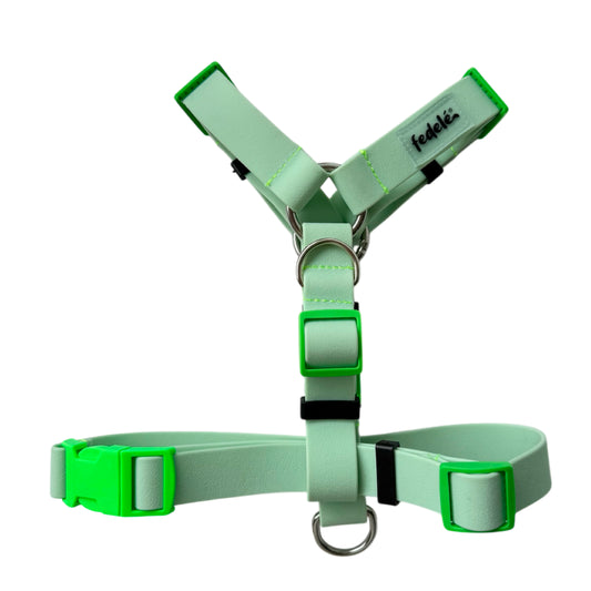 ARNES PAW PROOF VERDE CLARO