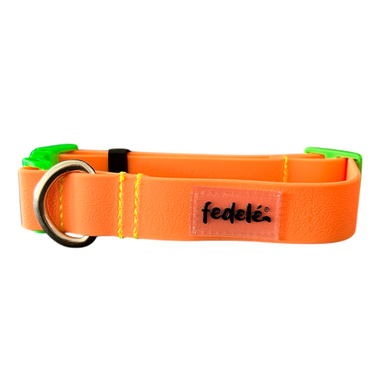 COLLAR PAW PROOF NARANJA